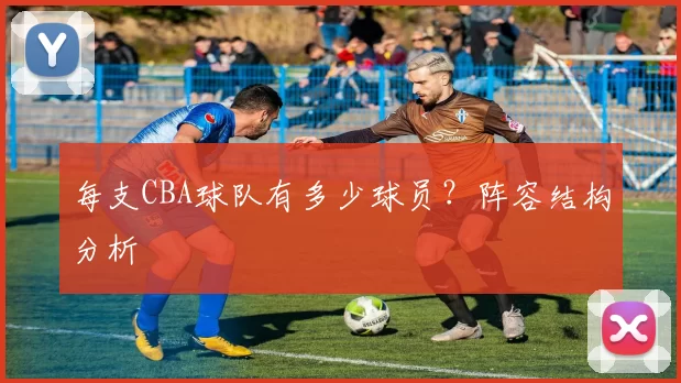 每支CBA球队有多少球员？阵容结构分析