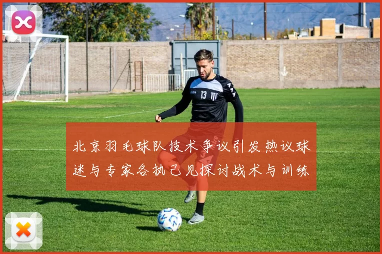 北京羽毛球队技术争议引发热议球迷与专家各执己见探讨战术与训练问题