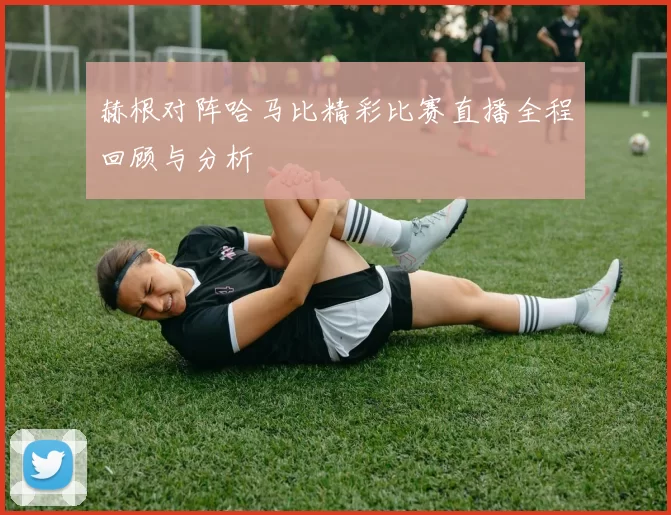 赫根对阵哈马比精彩比赛直播全程回顾与分析