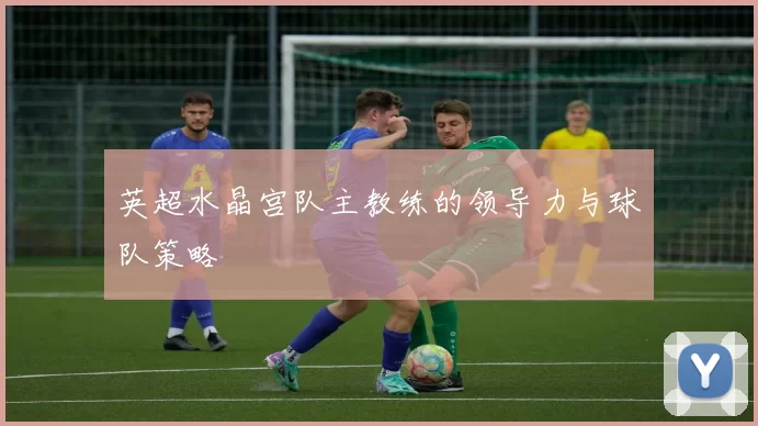 英超水晶宫队主教练的领导力与球队策略