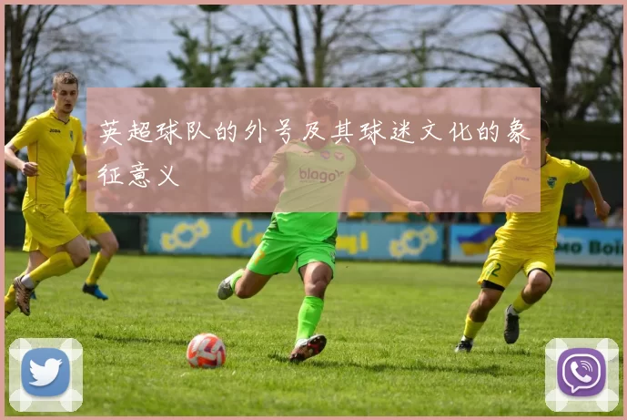 英超球队的外号及其球迷文化的象征意义