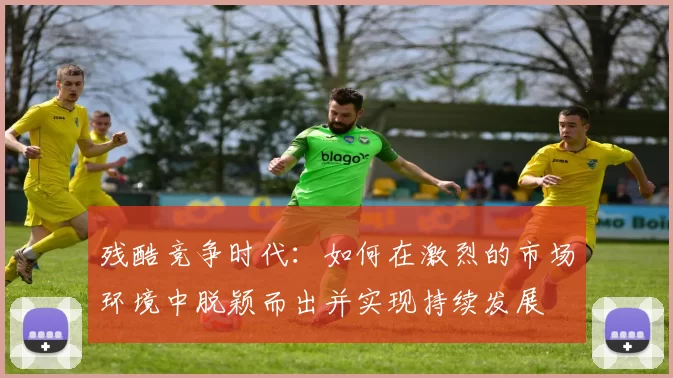 残酷竞争时代：如何在激烈的市场环境中脱颖而出并实现持续发展