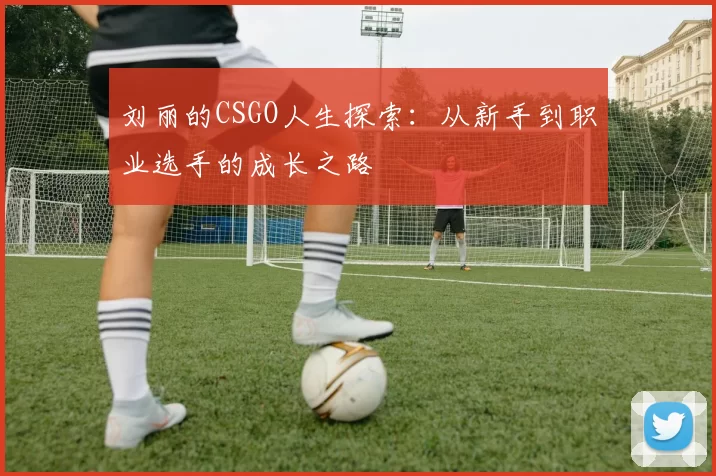 刘丽的CSGO人生探索：从新手到职业选手的成长之路