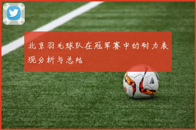 北京羽毛球队在冠军赛中的耐力表现分析与总结
