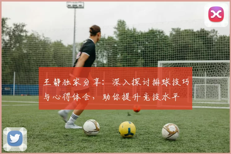 王静独家分享：深入探讨排球技巧与心得体会，助你提升竞技水平