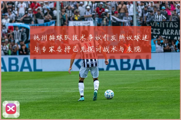 杭州排球队技术争议引发热议球迷与专家各抒己见探讨战术与表现