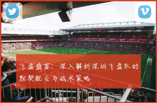 飞盘盛宴：深入解析深圳飞盘队的默契配合与战术策略