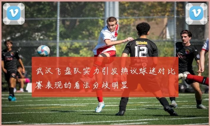 武汉飞盘队实力引发热议球迷对比赛表现的看法分歧明显
